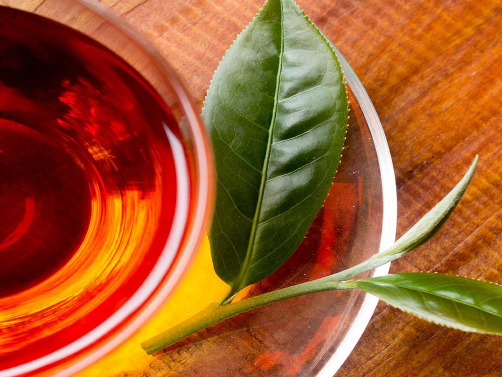 Lin Tea B&B Ruisui Zewnętrze zdjęcie